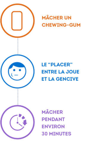 French Image Versions_23.png